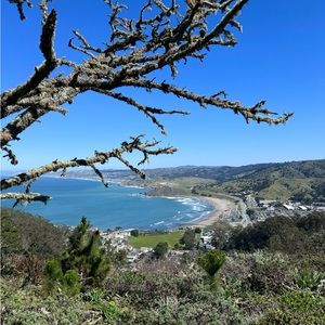 Meet your Posher, Jenn